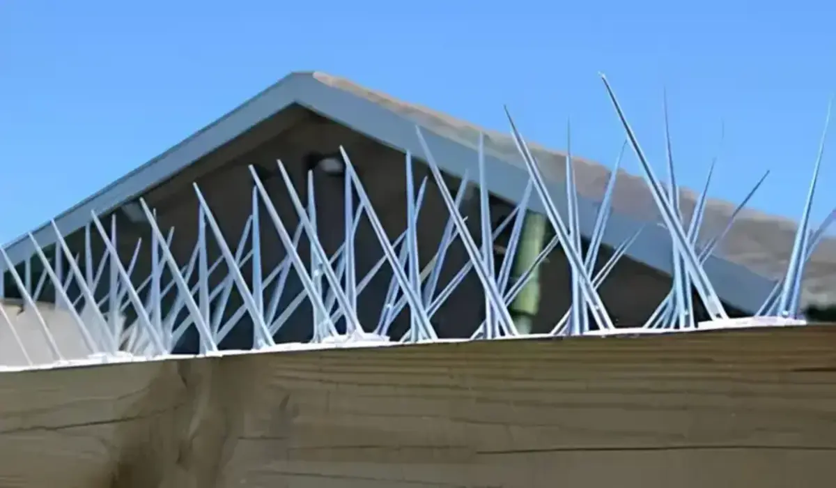 Anti Bird Spikes in Hyderabad, Telangana