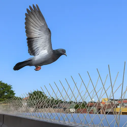 Premium Anti Bird Spikes in Hyderabad, Telangana