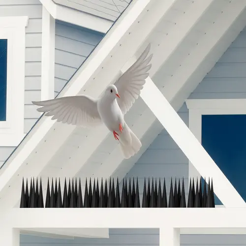 Premium Quality Anti Bird Spikes in Hyderabad, Telangana